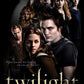 WSH - Twilight - Affiche de film - T-shirt à manches longues